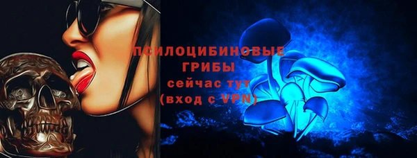 mdpv Лихославль