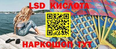 молекула духа Бийск