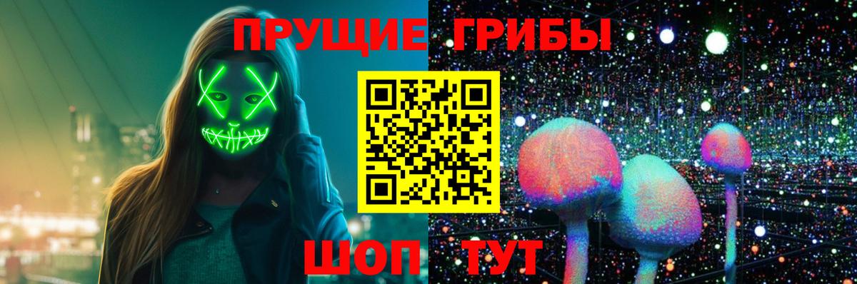 Псилоцибиновые грибы Psilocybe  Майский 