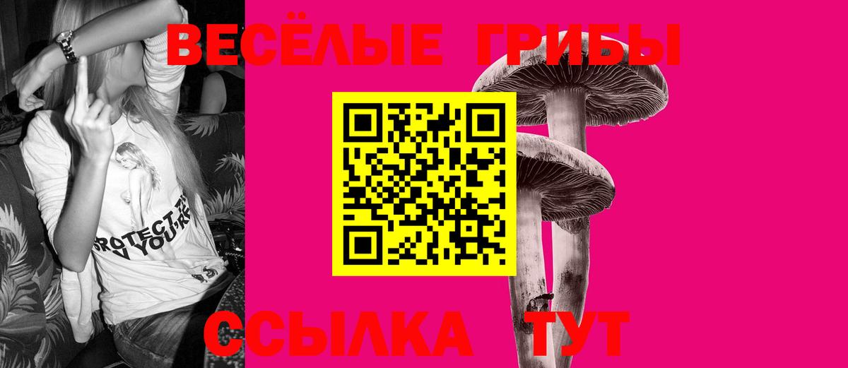 Галлюциногенные грибы Psilocybe Майский