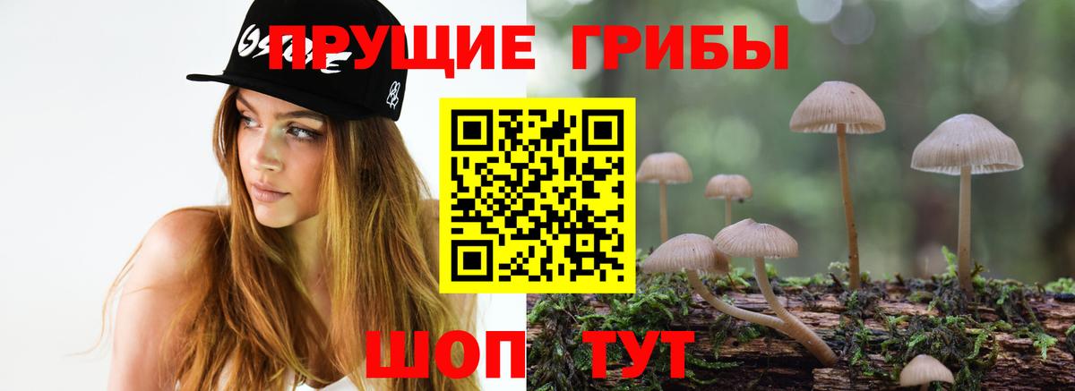 Майский  Галлюциногенные грибы MAGIC MUSHROOMS  Псилоцибиновые грибы мицелий  Вход с VPN 